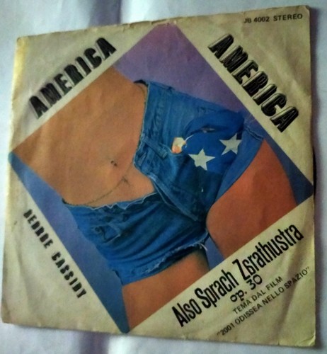 Disco vinile giri - disco,